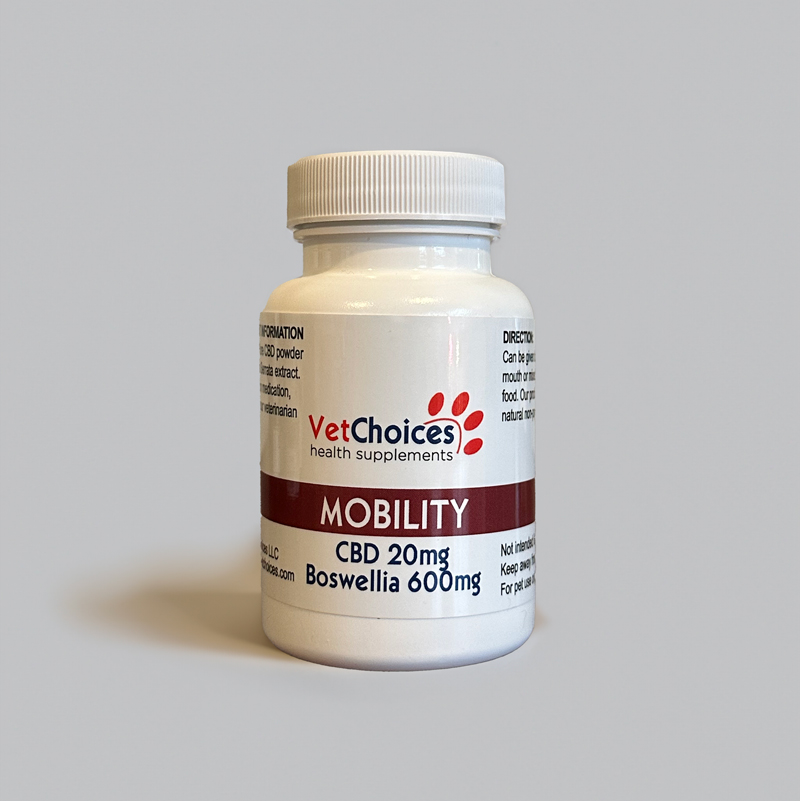 Mobility Choice